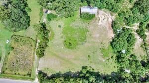 781 Clydeville Lane Photo 6