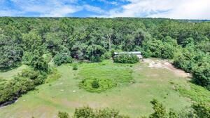 781 Clydeville Lane Photo 7