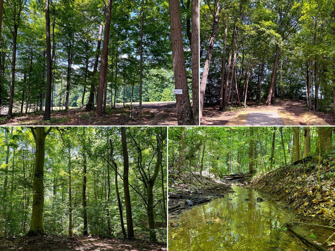 0 Wolf Hill Road, Lot #(Tract 2 W, McArthur, OH 45651 Main Photo