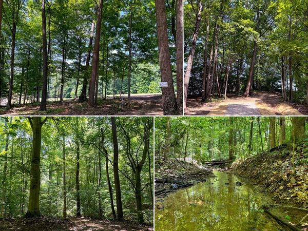 0 Wolf Hill Road, Unit (Tract 2 W, McArthur, OH 45651