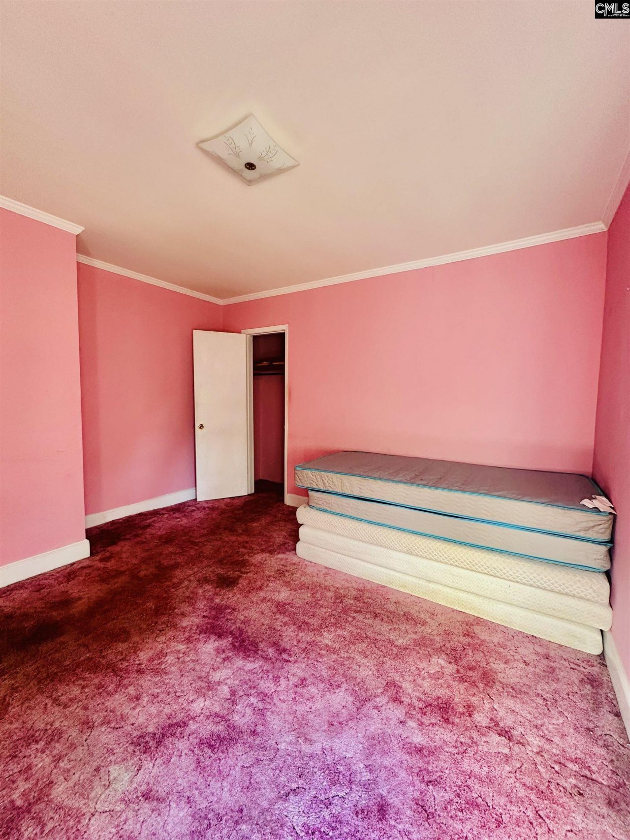 1542 Belleville Road Photo 12