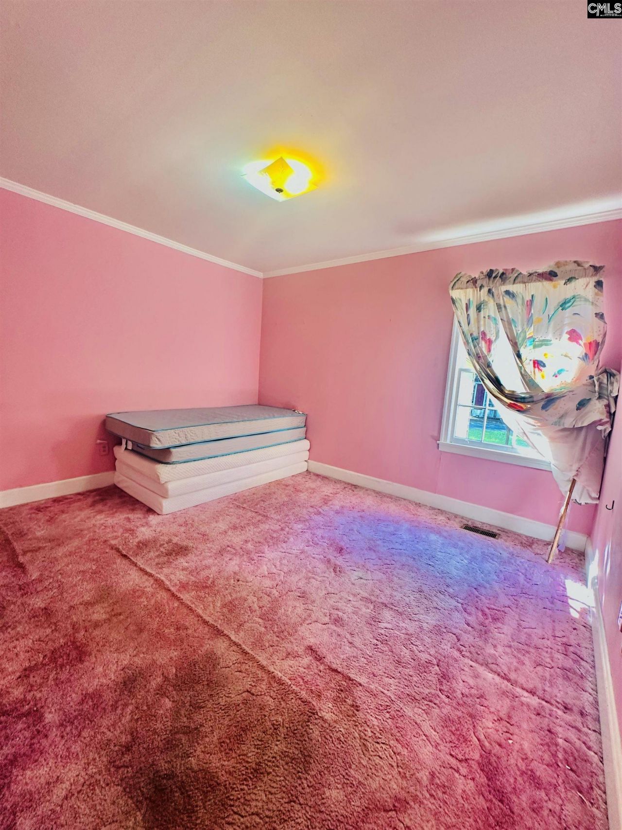 1542 Belleville Road Photo 13