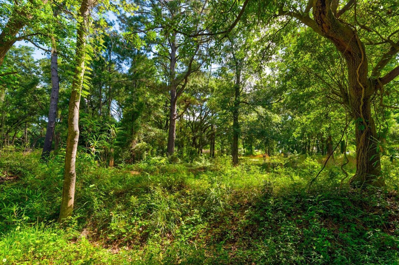 0000 Arsburn Road Photo 4