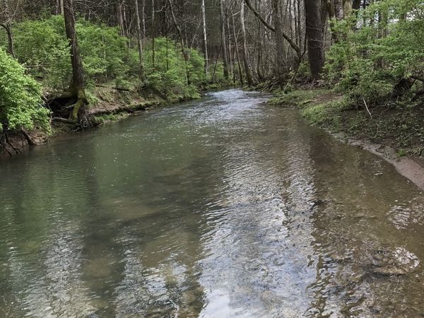 2390 Benders Ferry Rd, Mount Juliet, TN 37122