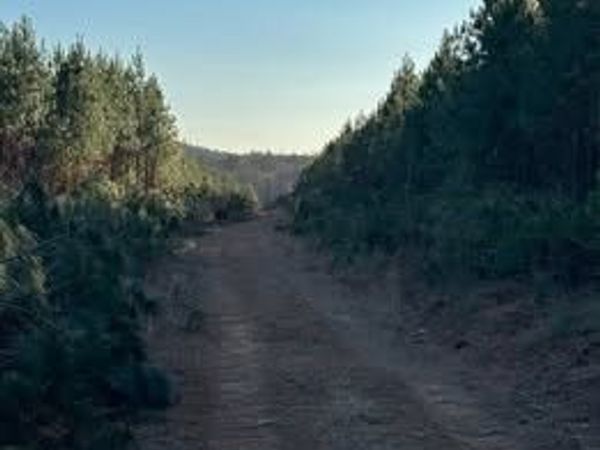 Lot 14 Green Creek Road, Schuyler, VA 22969