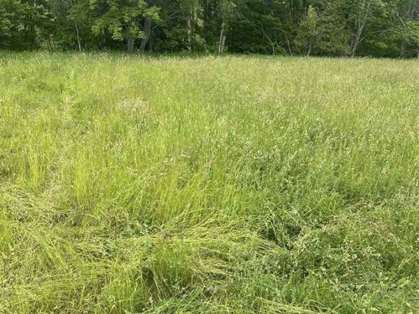 Springwood Rd. C-2, Charlevoix, MI 49720