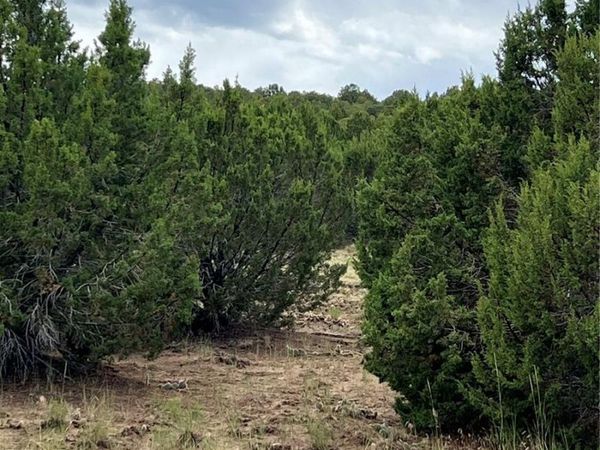 Sunrise Road, Walsenburg, CO 81089