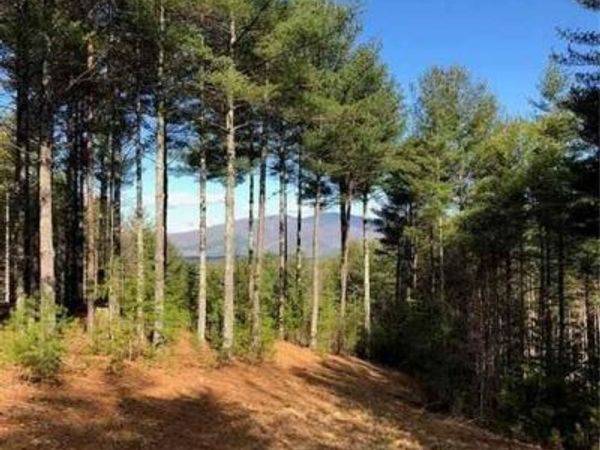 V/L Hunt Camp Drive, Nebo, NC 28761