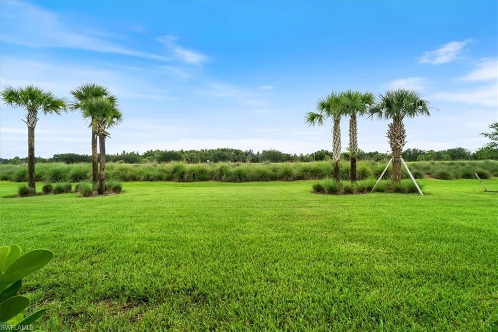 5644 Celebration Dr, Ave Maria, FL 34142 Photo