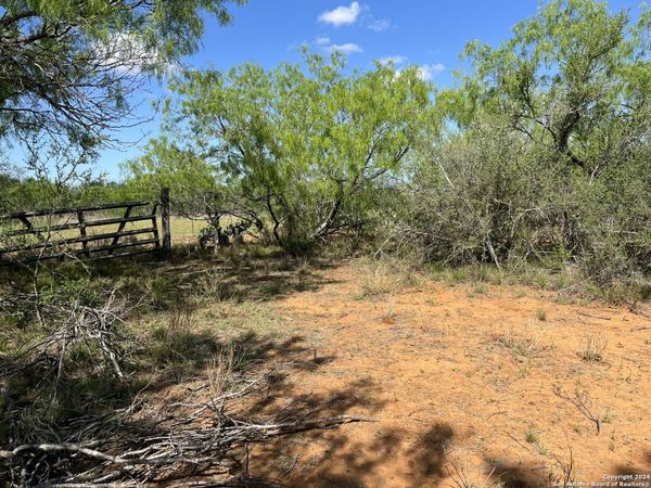 0 Carroll Road, Dilley, TX 78017