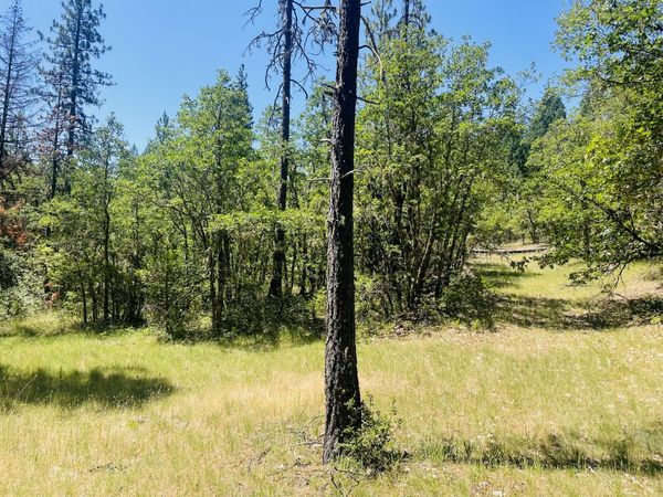 826 Ulrich Road, Prospect, OR 97536