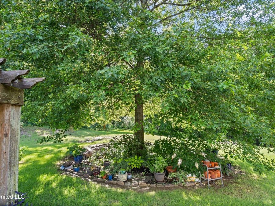 Property Image 54