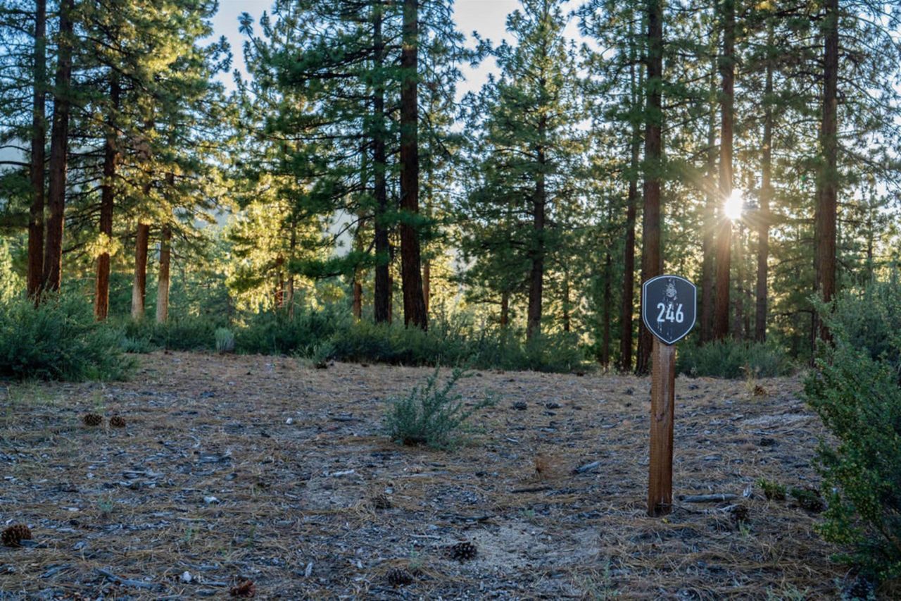 191 Cartwright Court, Carson City, NV 89705 Photo