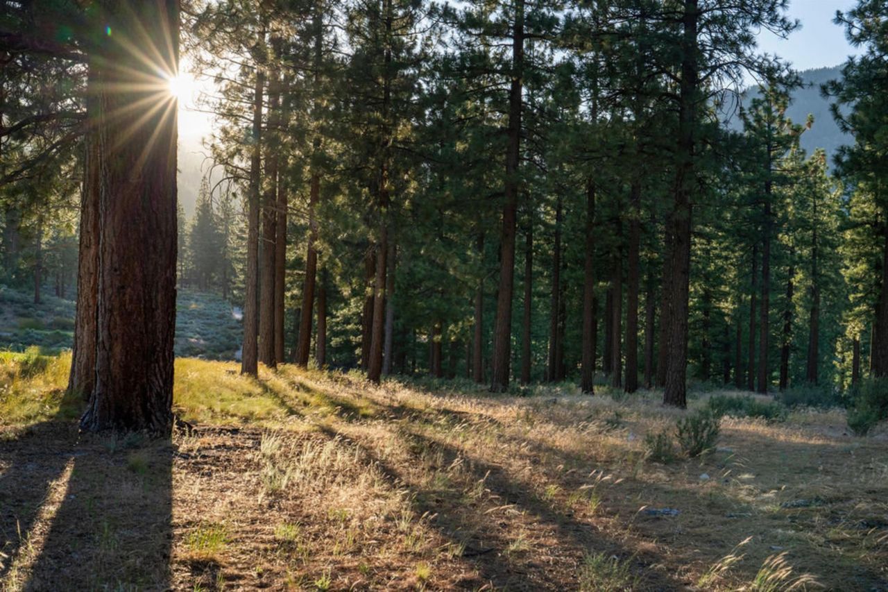 191 Cartwright Court, Carson City, NV 89705 Photo