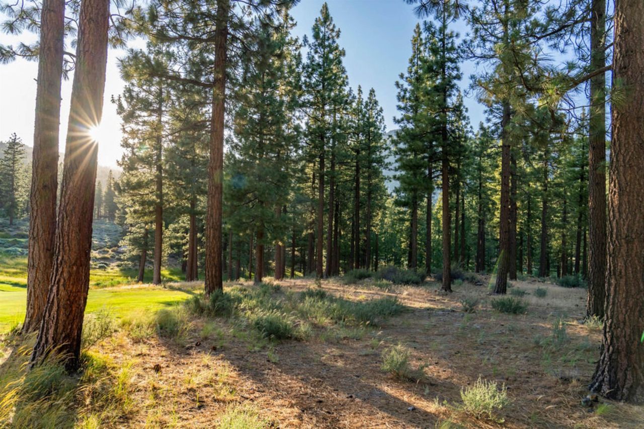 191 Cartwright Court, Carson City, NV 89705 Photo