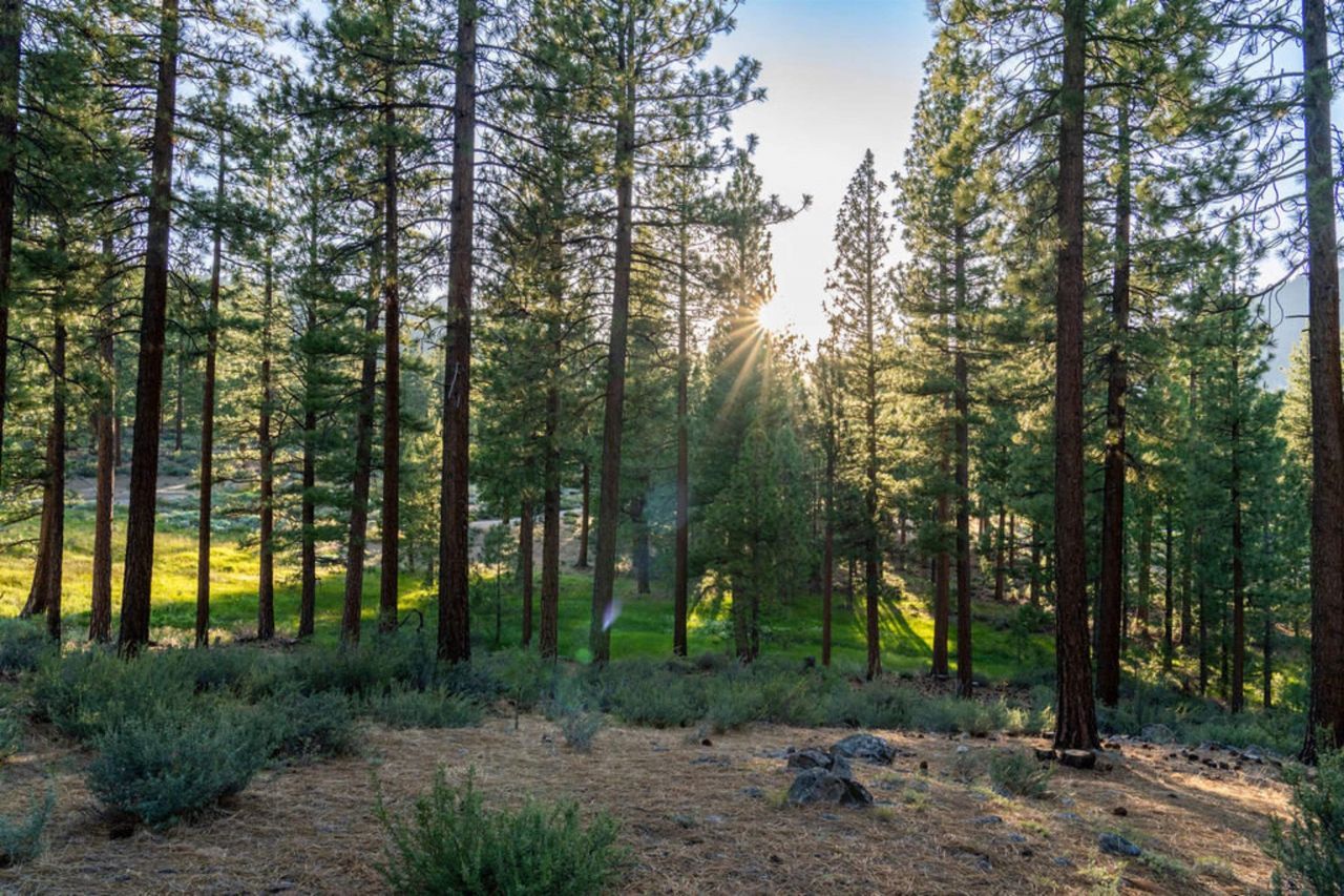 191 Cartwright Court, Carson City, NV 89705 Photo