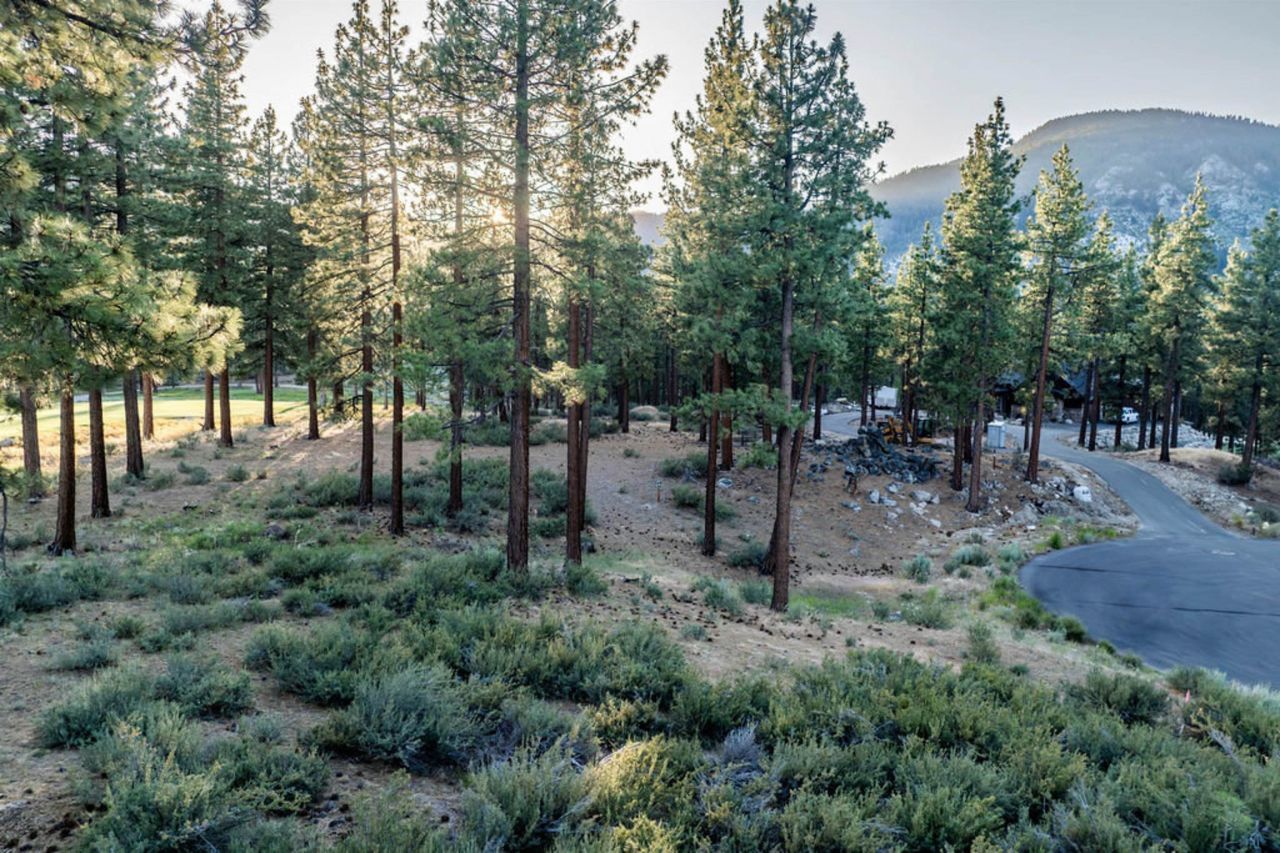 191 Cartwright Court, Carson City, NV 89705 Photo