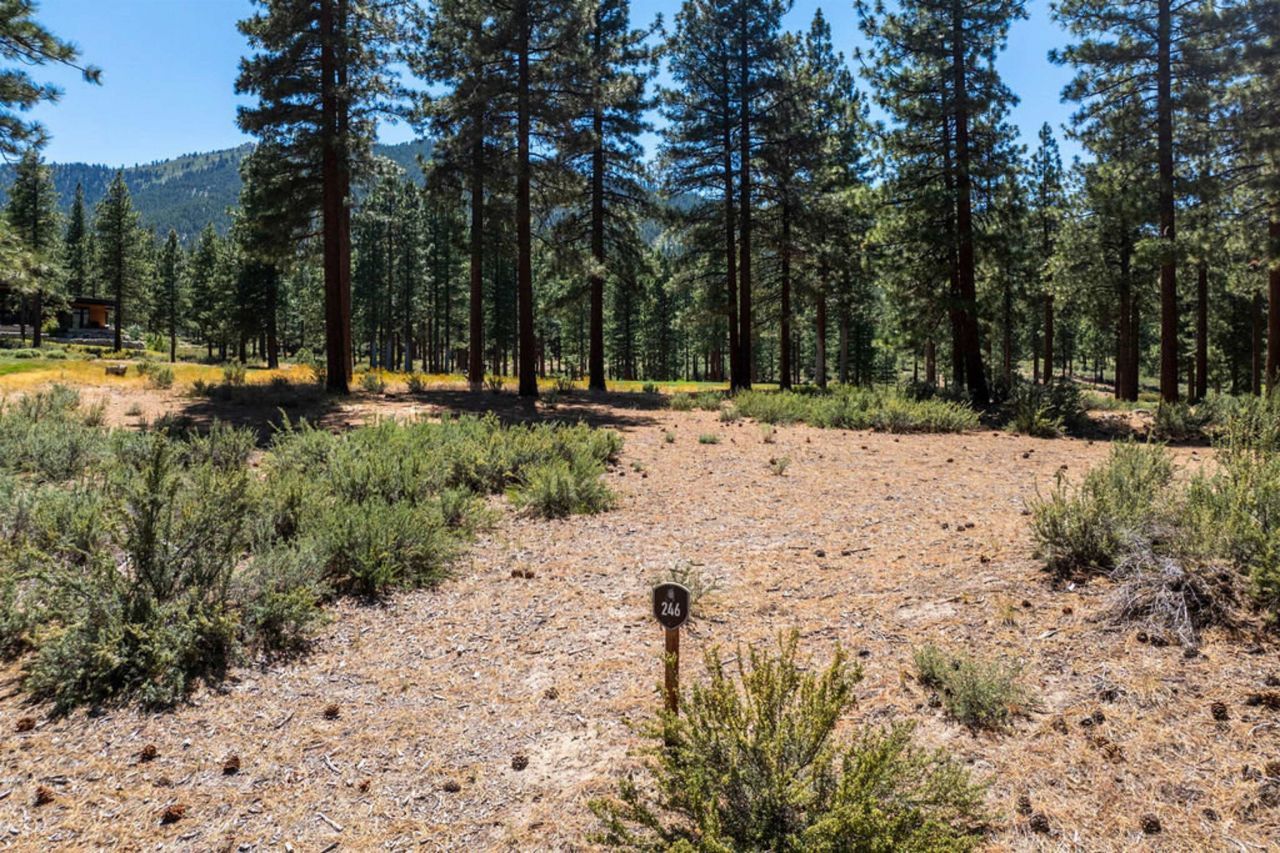 191 Cartwright Court, Carson City, NV 89705 Photo