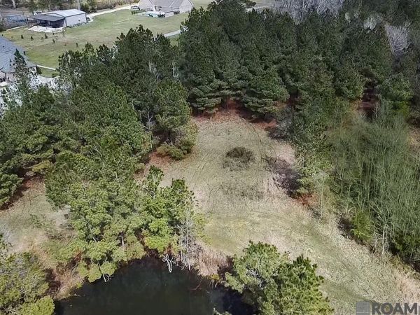 TBD Washington Ln, Central, LA 70739