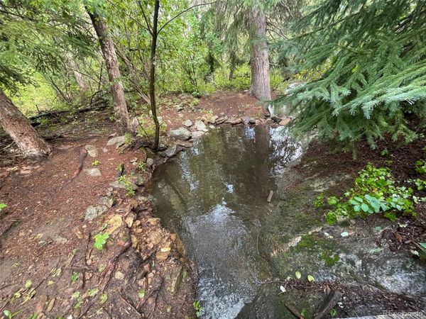 31429 Burke Road, Golden, CO 80403