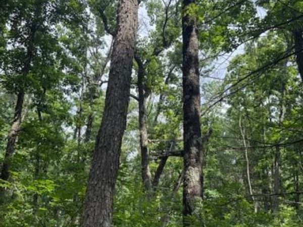 6230 S Evergreen Drive, Newaygo, MI 49337