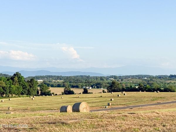 Lot 10 Summerset Drive, Talbott, TN 37877