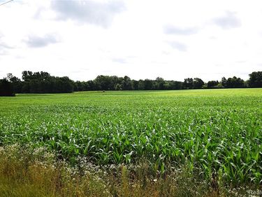 V/L N Irish Road, Forest Twp, MI 48463