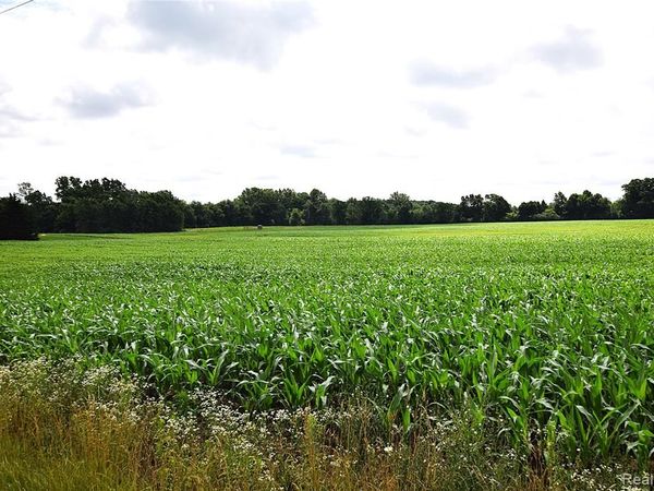 V/L N Irish Road, Forest Twp, MI 48463