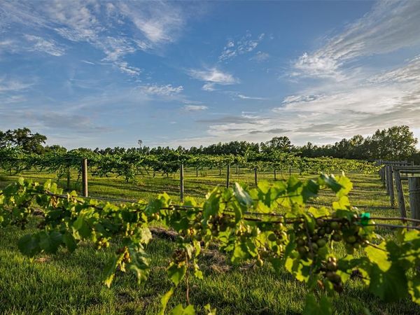 00 County Road 2138, Troup, TX 75789