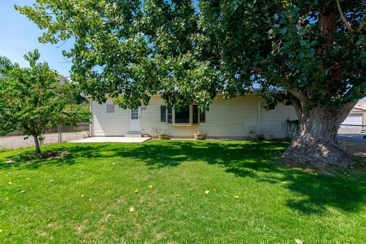 707 36 3/10 Road, Palisade, CO 81526 Main Photo