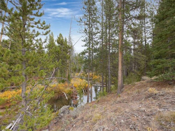 773 Smiley Creek Rd, Sawtooth City, ID 83340