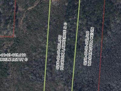 tbd Baxley Road, Bowman, SC 29018