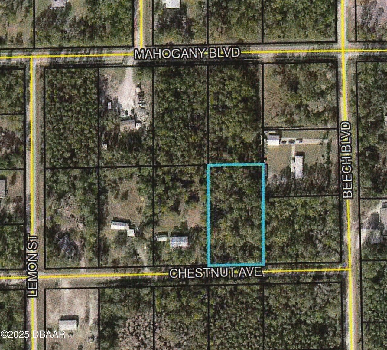 5540 Chestnut Avenue, Bunnell, FL 32110 Main Photo