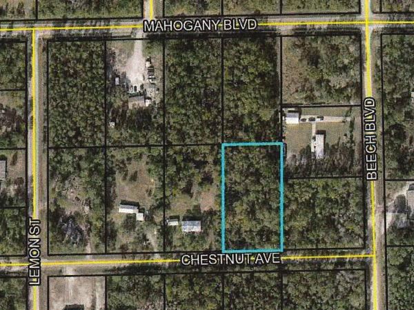 5540 Chestnut Avenue, Bunnell, FL 32110