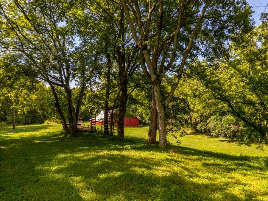 Property Image 38