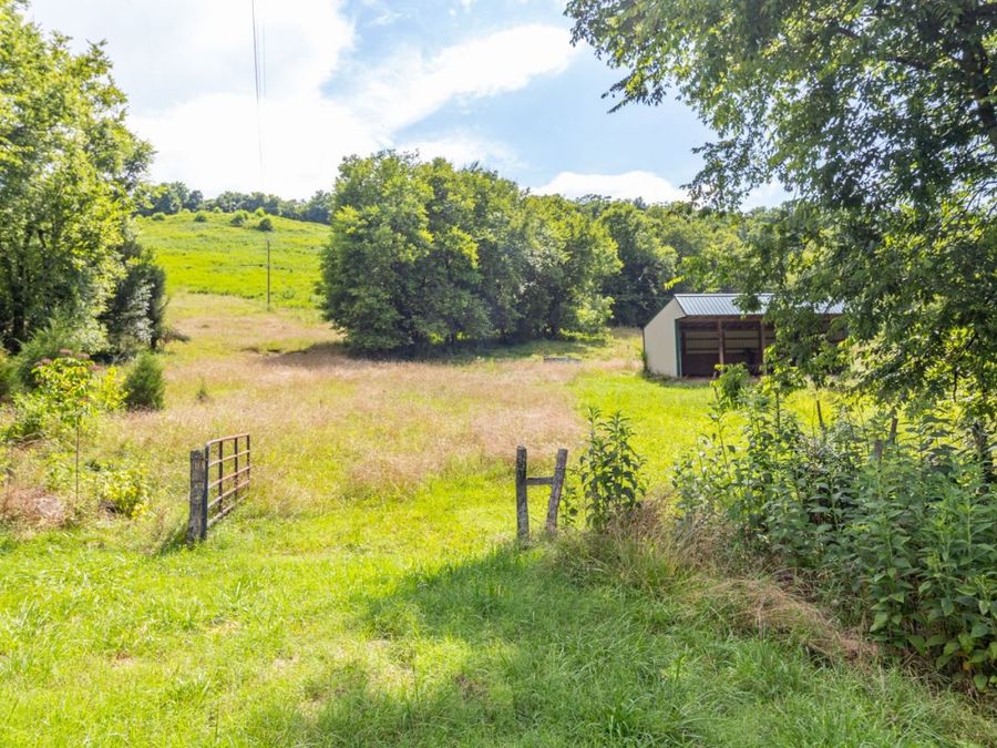 Property Image 42