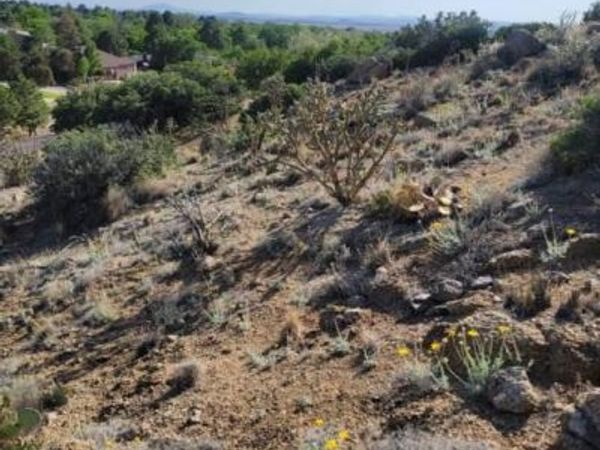 1215/1217 HIDEAWAY Lane SE, Albuquerque, NM 87123