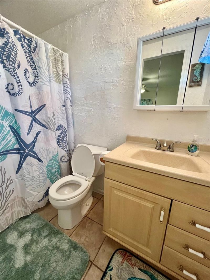 209 Seagull Drive, Tarpon Springs, FL 34689 Photo