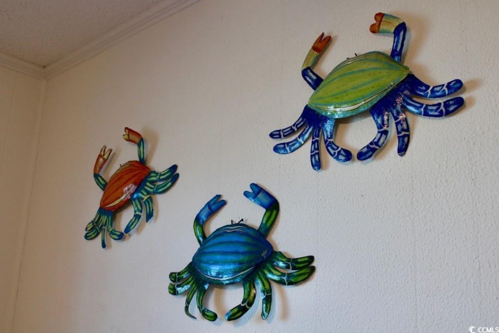 1919 Spring St. Photo 14