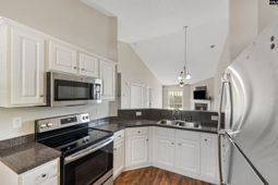 263 Blue Savannah Street photo 4