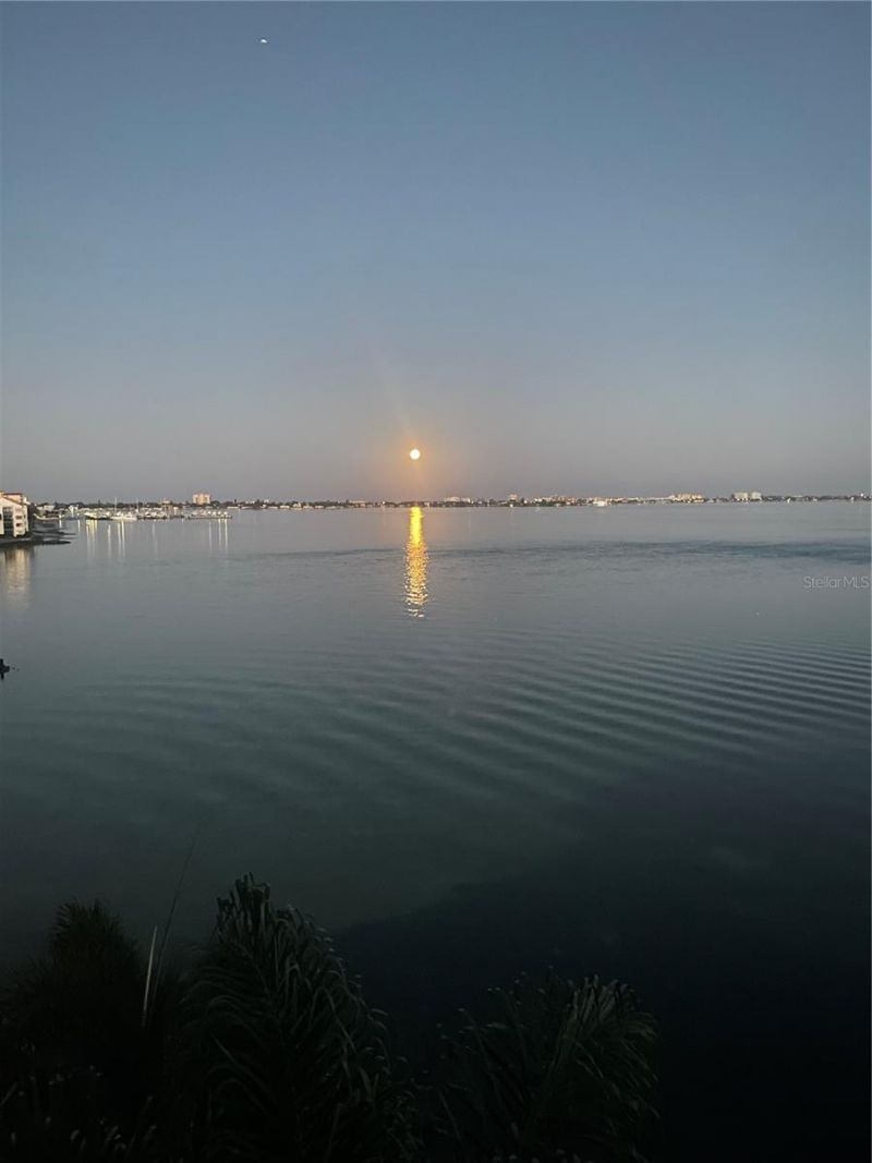 5151 Isla Key Boulevard S, Unit 220, Saint Petersburg, FL 33715 Photo