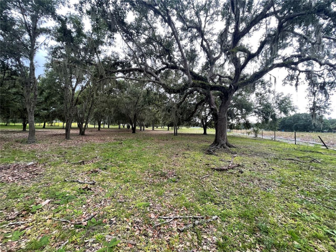 5187 Deer Run Drive, Zolfo Springs, FL 33890 Photo