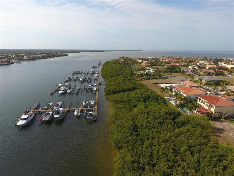 6451 Rubia Circle, Apollo Beach, FL 33572 Photo