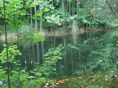 2815 Highway 1 S, Elgin, SC 29045