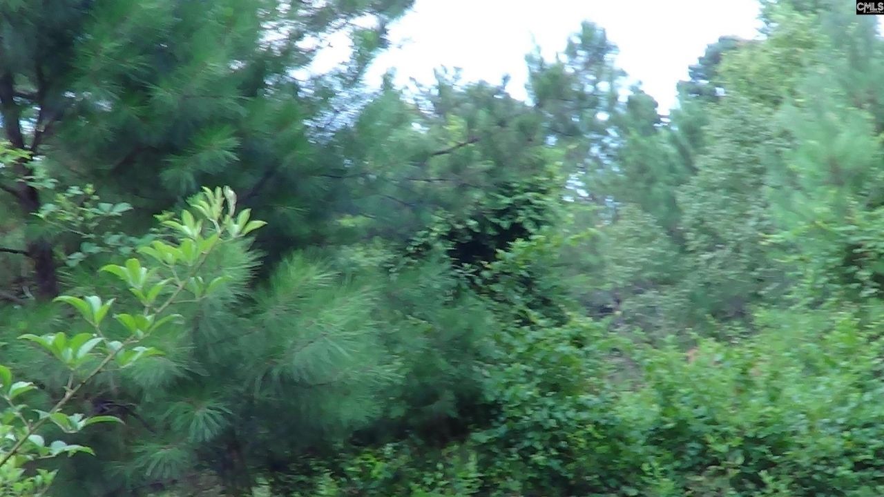 2815 Highway 1 S Photo 10