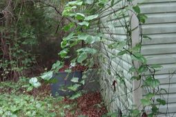 2815 Highway 1 S photo 4