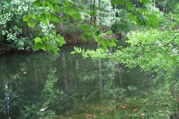 2815 Highway 1 S photo 4