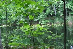 2815 Highway 1 S photo 4