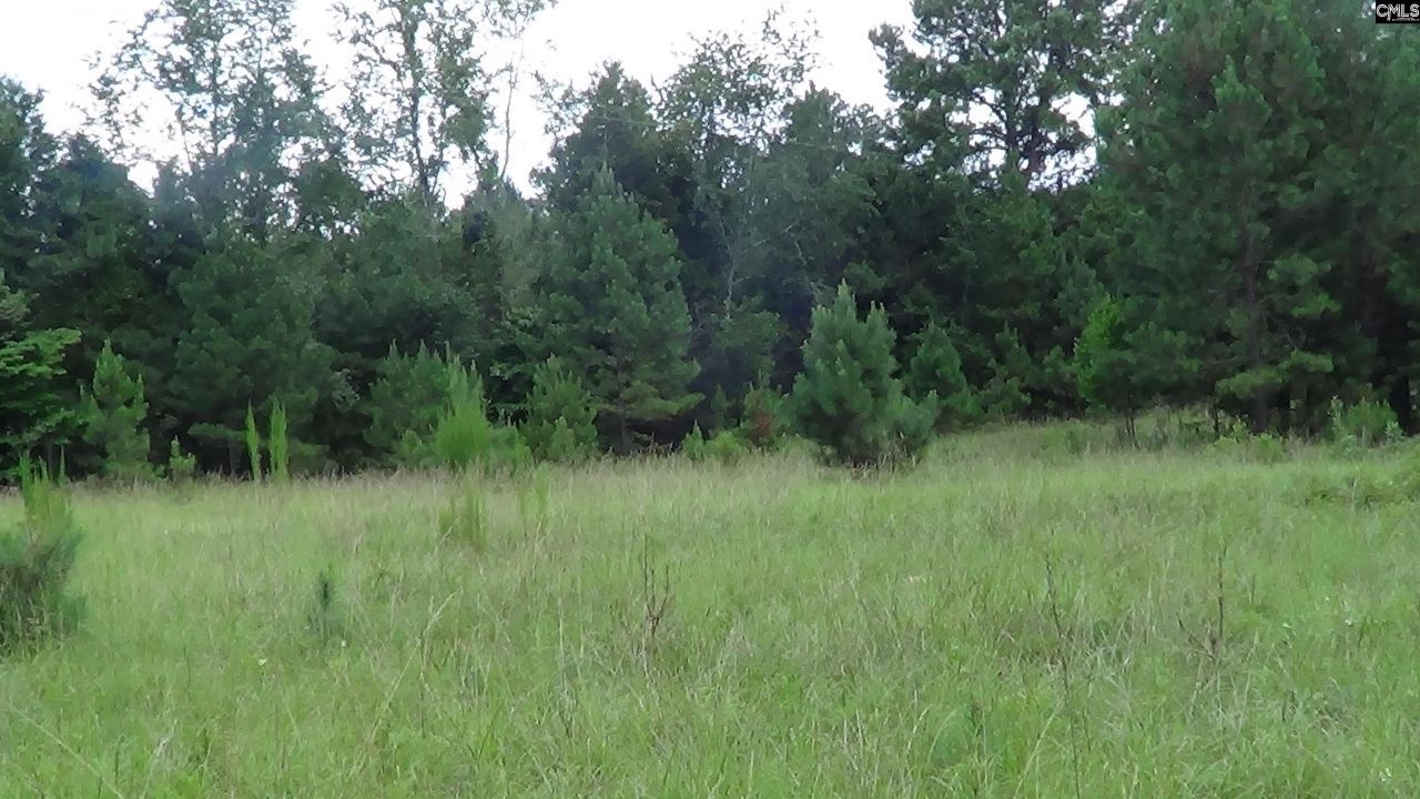 2815 Highway 1 S Photo 7