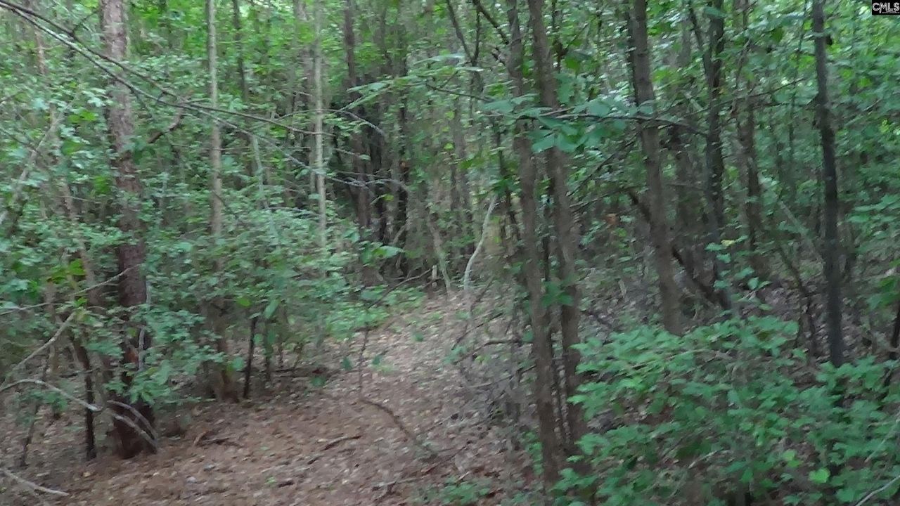 2815 Highway 1 S Photo 9